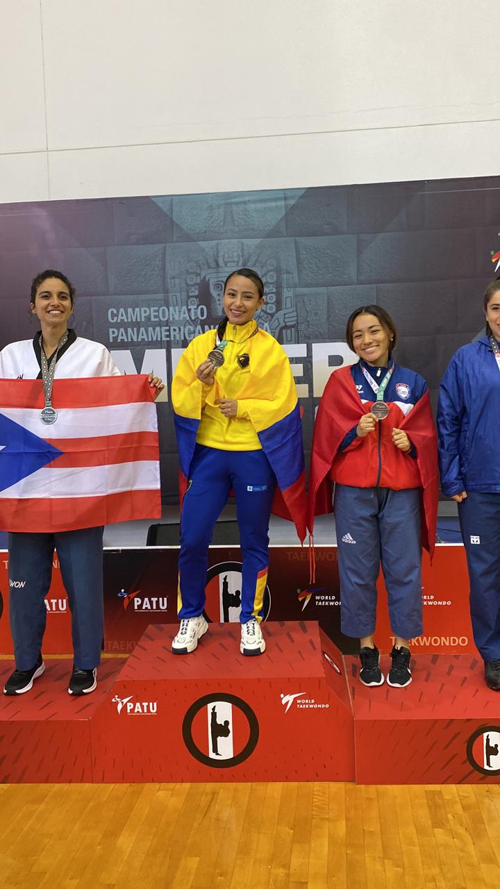 Sol Taekwondo Historia